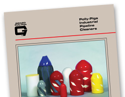 Polly Pigs Brochure